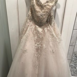 WEDDING DRESS WITH VEIL 💍